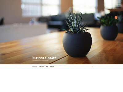 kleinereisbaer.de snapshot
