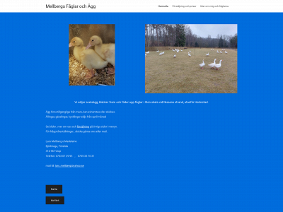 mellbergsfagel.se snapshot
