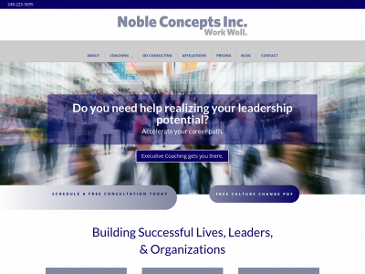 nobleconceptsinc.com snapshot