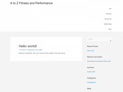a-zfit.com snapshot
