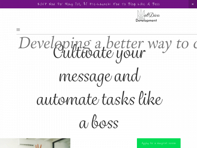 webdivadevelopment.com snapshot