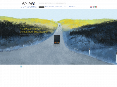 animoconsulting.com snapshot