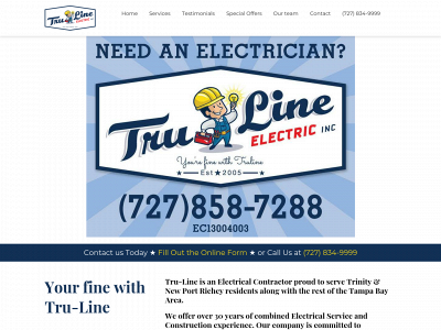 trulinewebdeveloment.com snapshot