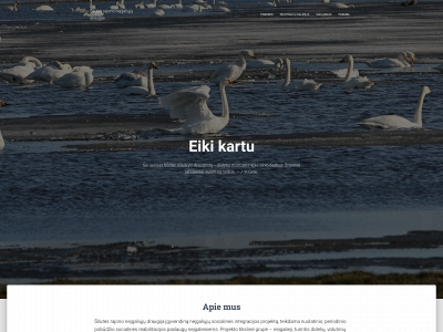 eikikartu.lt snapshot