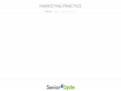 mrryanbusiness.weebly.com snapshot