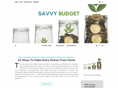 savvybudget.com snapshot