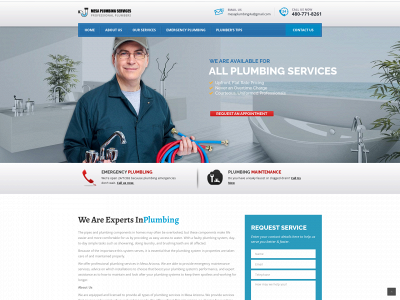 www.plumbingservicesmesa.com snapshot