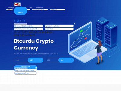 www.btcurdu.com snapshot