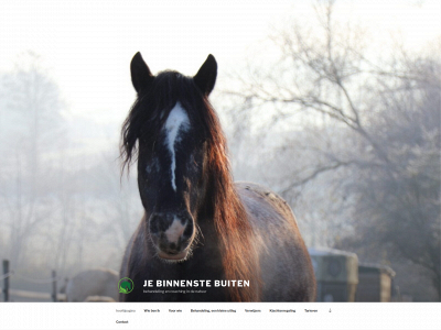 jebinnenstebuiten.com snapshot
