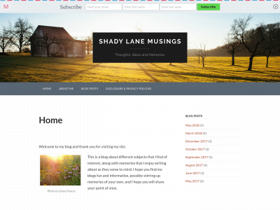 shadylanemusings.com snapshot