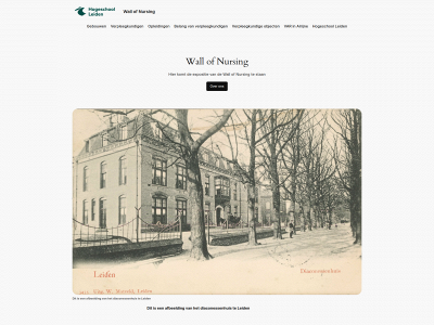 wallofnursing.nl snapshot