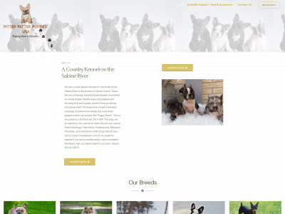 pitterpatterpuppiesusa.com snapshot