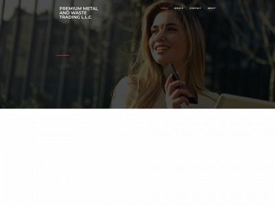 pmwllc.ae snapshot