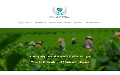 www.angelsofimpact.com snapshot