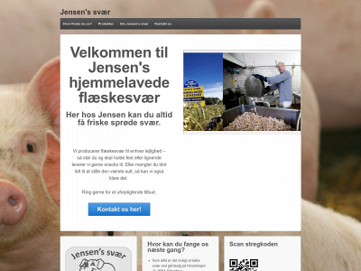 svaer.dk snapshot