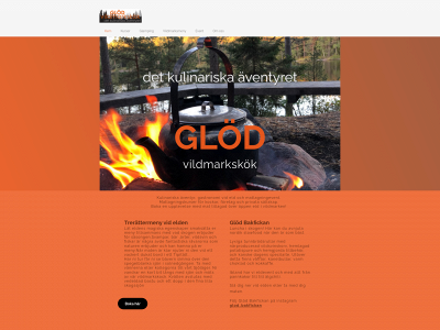 glodvildmarkskok.se snapshot