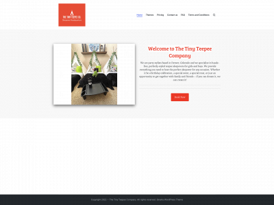 thetinyteepeecompany.com snapshot