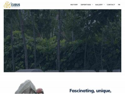 artcubus.com snapshot