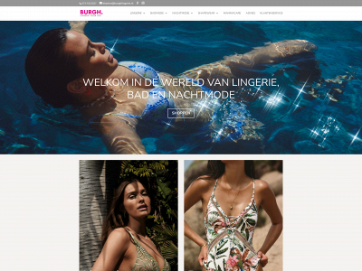 burghlingerie.nl snapshot