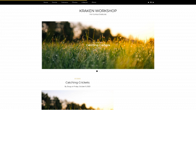 krakenworkshop.com snapshot