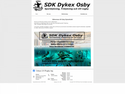 dykex.se snapshot