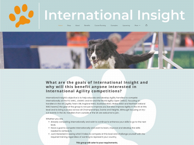 internationalinsight.co.uk snapshot
