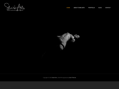 stark-arts.net snapshot