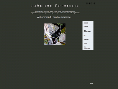 johannepetersen.dk snapshot
