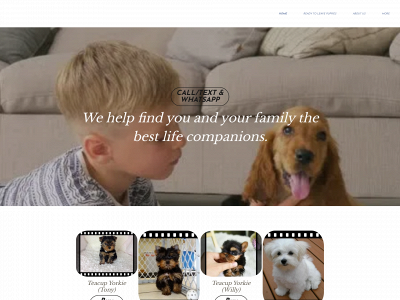 www.gracepuppykingdom.com snapshot