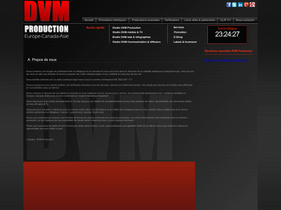 dvmproduction.com snapshot