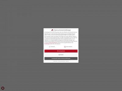 ap-industriemontage.com snapshot