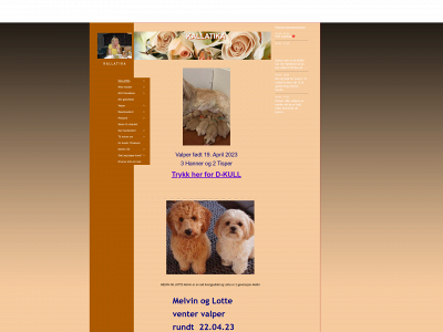 kallatika.com snapshot