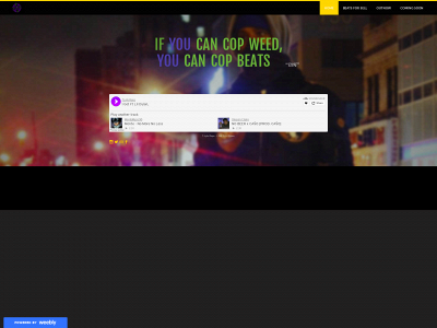 tlyfemusic.weebly.com snapshot