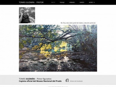tomasguzman.com snapshot