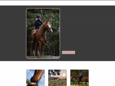 klickertraning.se snapshot
