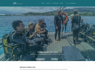 dykresespecialisten.se snapshot