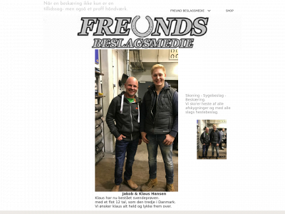 freundsbeslagsmedie.dk snapshot