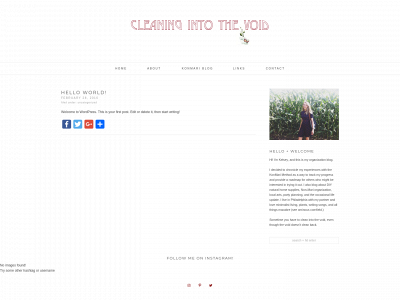 cleaningintothevoid.com snapshot