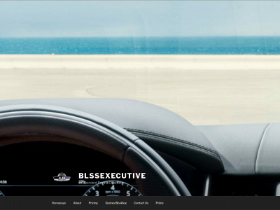 blssexecutive.com snapshot