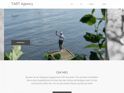 tartagency.se snapshot