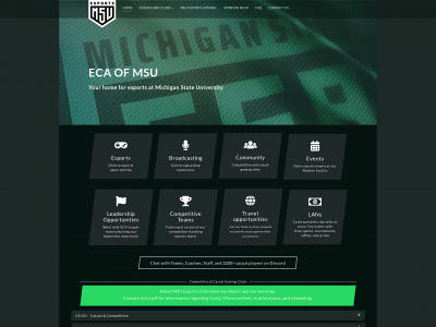 ecaofmsu.org snapshot