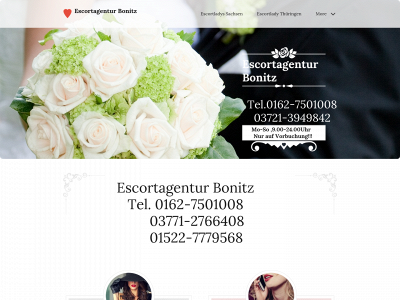 escortagentur-bonitz.one snapshot