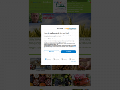 biosalento.com snapshot