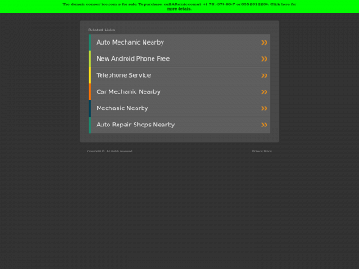layellowcab.comservice.com snapshot