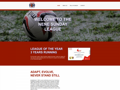 neneleague.co.uk snapshot