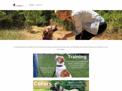 fearlesspetorig.weebly.com snapshot