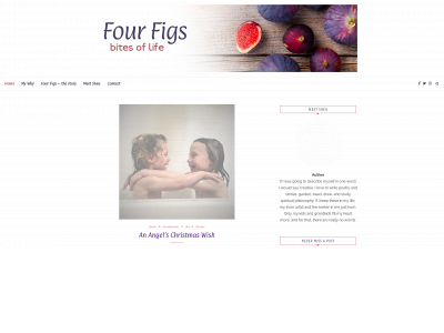 fourfigs.ca snapshot