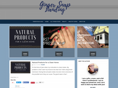 gingersnaplanding.com snapshot