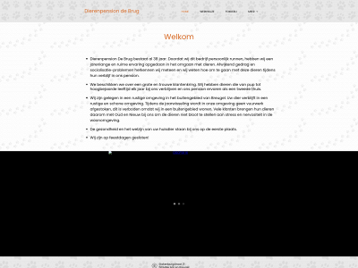 dierenpensiondebrug.nl snapshot
