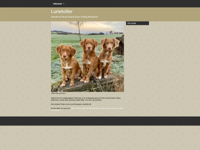 lunetoller.dk snapshot